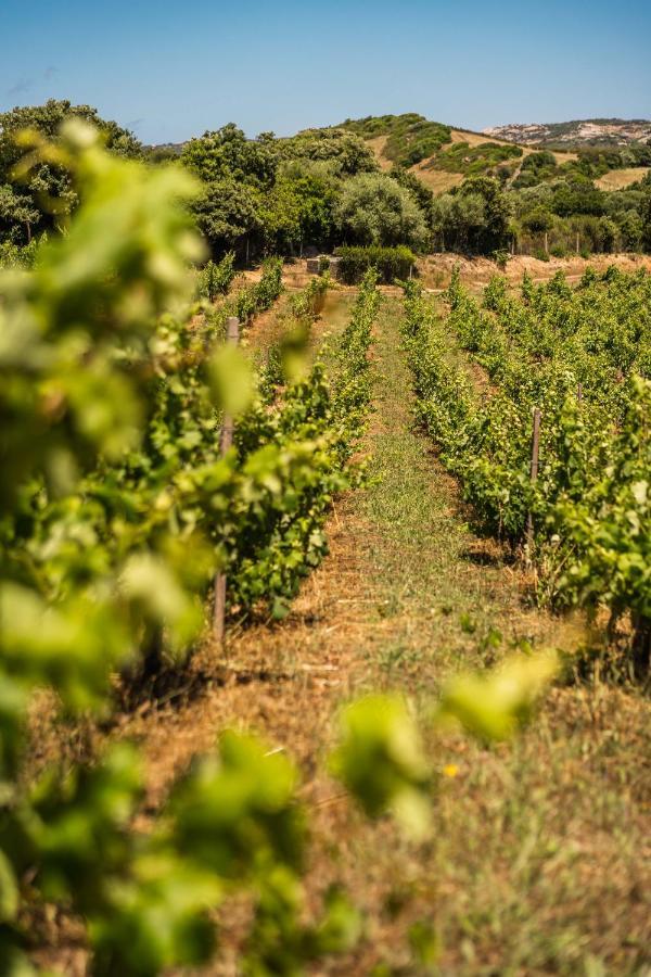 Locanda In Vigna Arzachena Exterior photo
